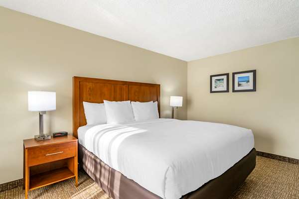 Suite - Comfort Inn & Suites Clearwater Airport