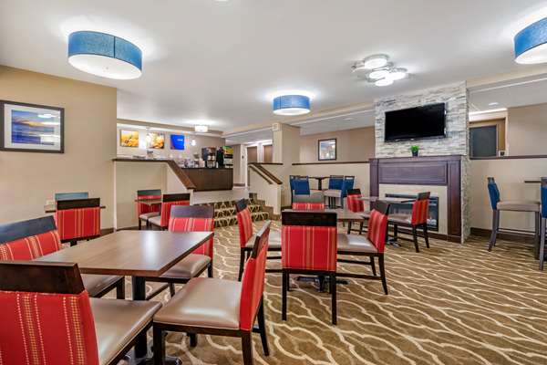 Amenities - Comfort Inn & Suites Clearwater Airport