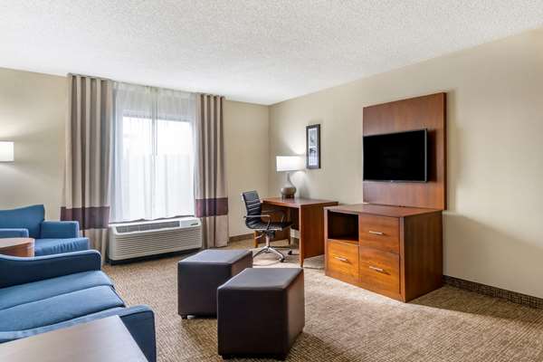 Suite - Comfort Inn & Suites Clearwater Airport
