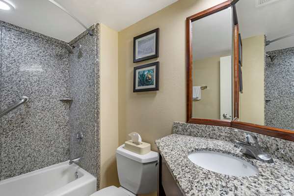 Suite - Comfort Inn & Suites Clearwater Airport