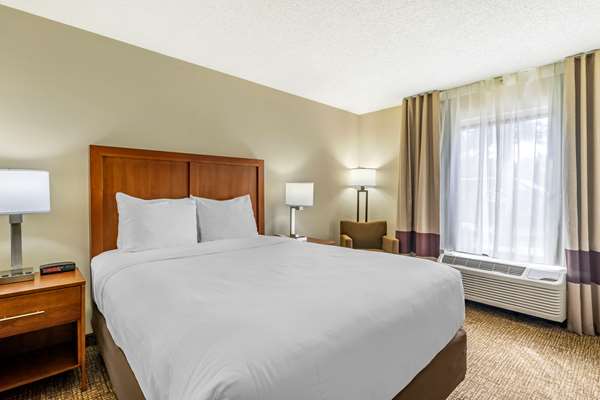  - Comfort Inn & Suites Clearwater Airport