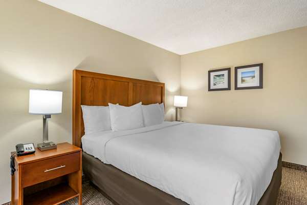  - Comfort Inn & Suites Clearwater Airport