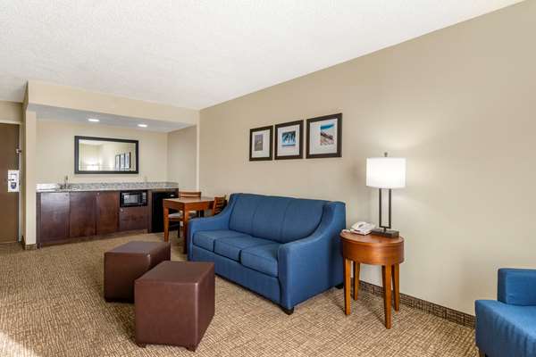 Suite - Comfort Inn & Suites Clearwater Airport