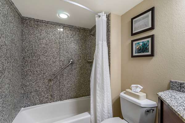Suite - Comfort Inn & Suites Clearwater Airport