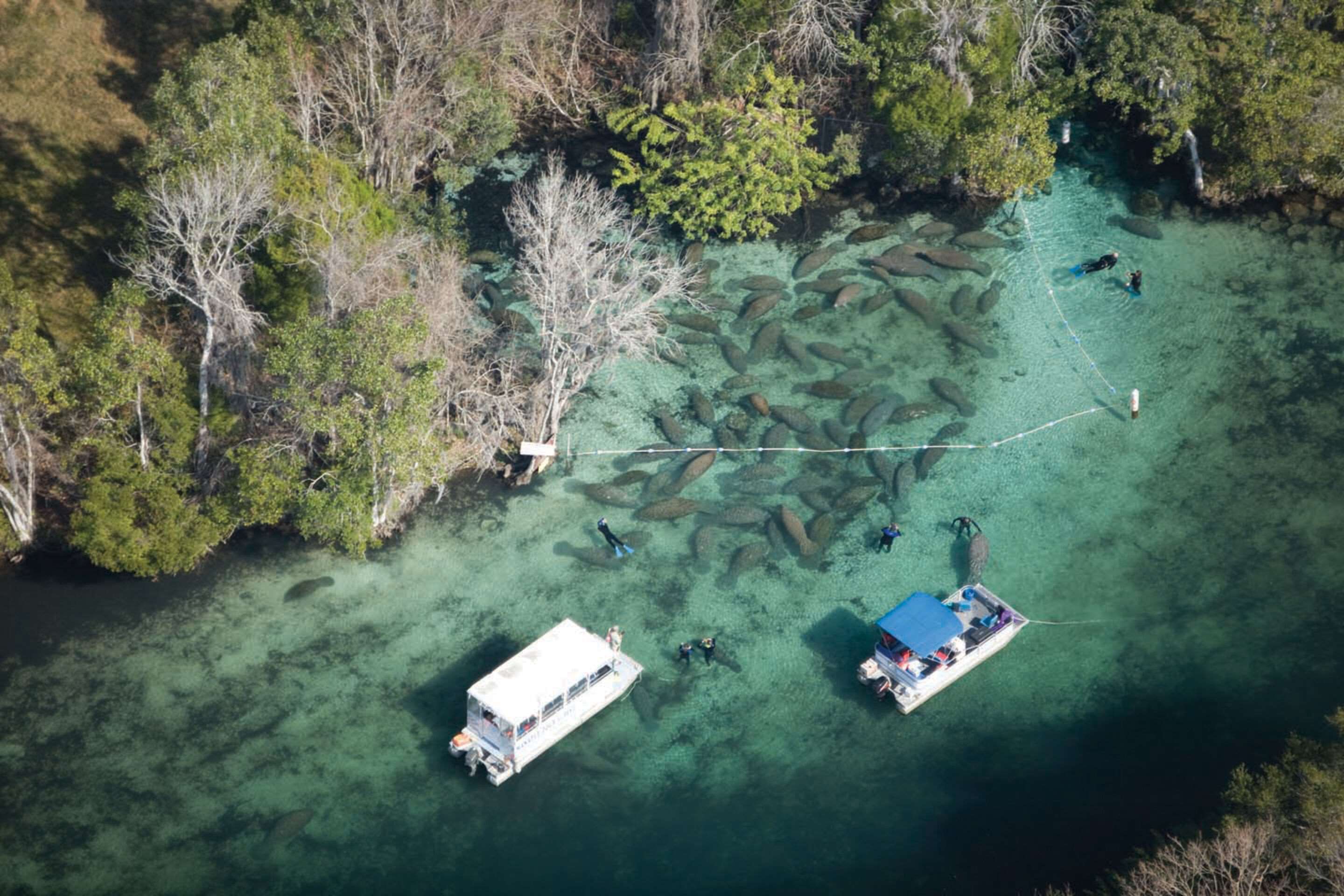 Lake | Plantation on Crystal River, Ascend Hotel Collection