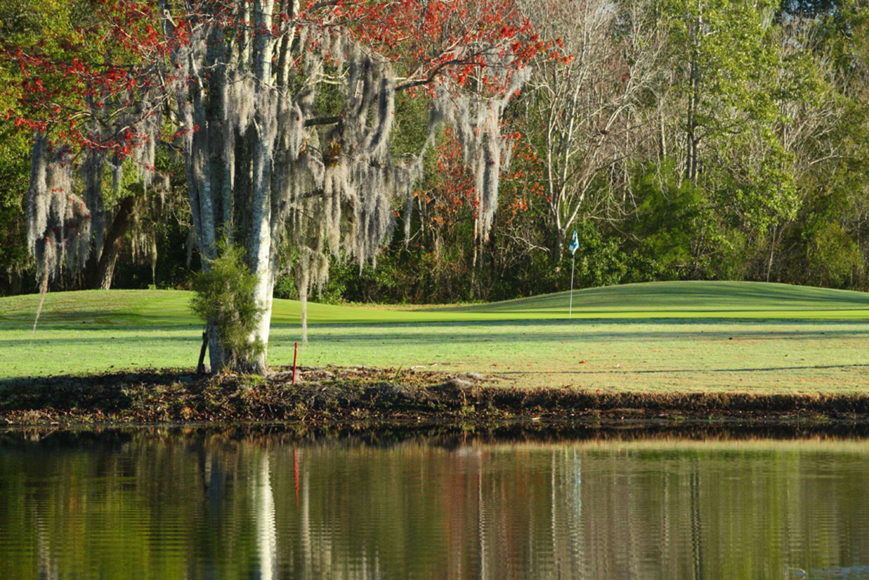 Golf | Plantation on Crystal River, Ascend Hotel Collection