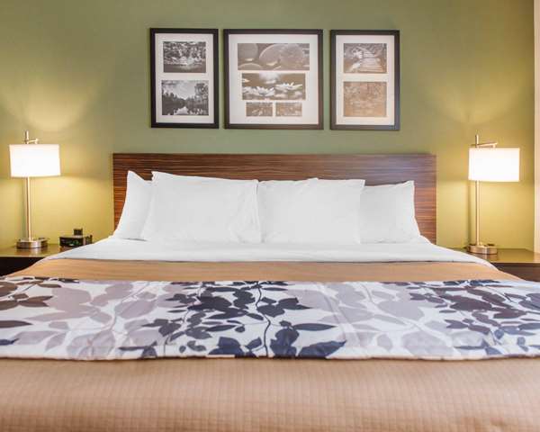 Suite - Sleep Inn & Suites Defuniak Springs
