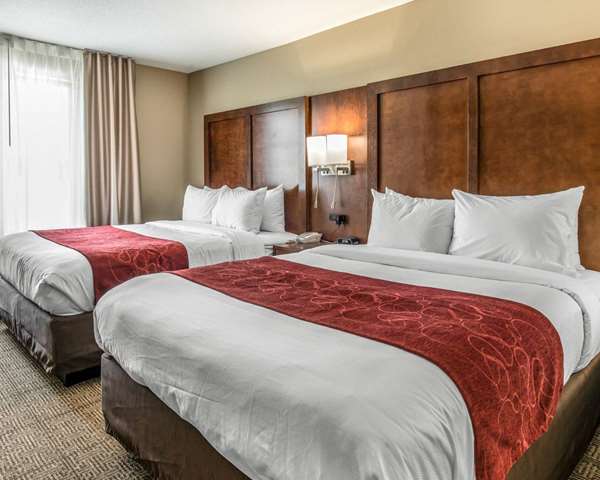 Suite - Comfort Suites near Rainbow Springs Dunnellon