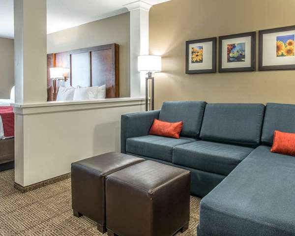 Suite - Comfort Suites near Rainbow Springs Dunnellon