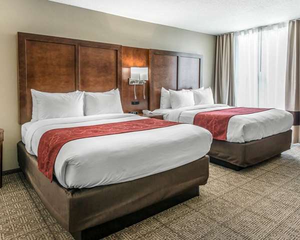 Suite - Comfort Suites near Rainbow Springs Dunnellon