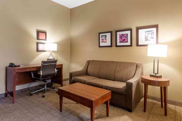 Suite - Comfort Inn & Suites Peachtree Norcross
