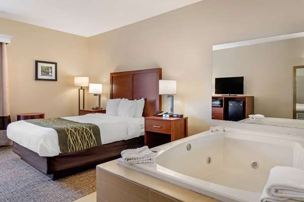  - Comfort Inn Douglasville - I-20, Exit 37