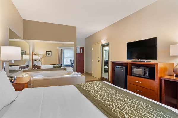  - Comfort Inn Douglasville - I-20, Exit 37