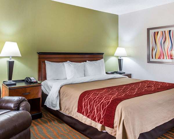 Suite - Comfort Inn Conyers - I-20, Exit 80