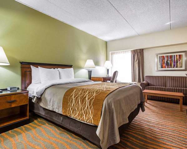  - Comfort Inn Conyers - I-20, Exit 80