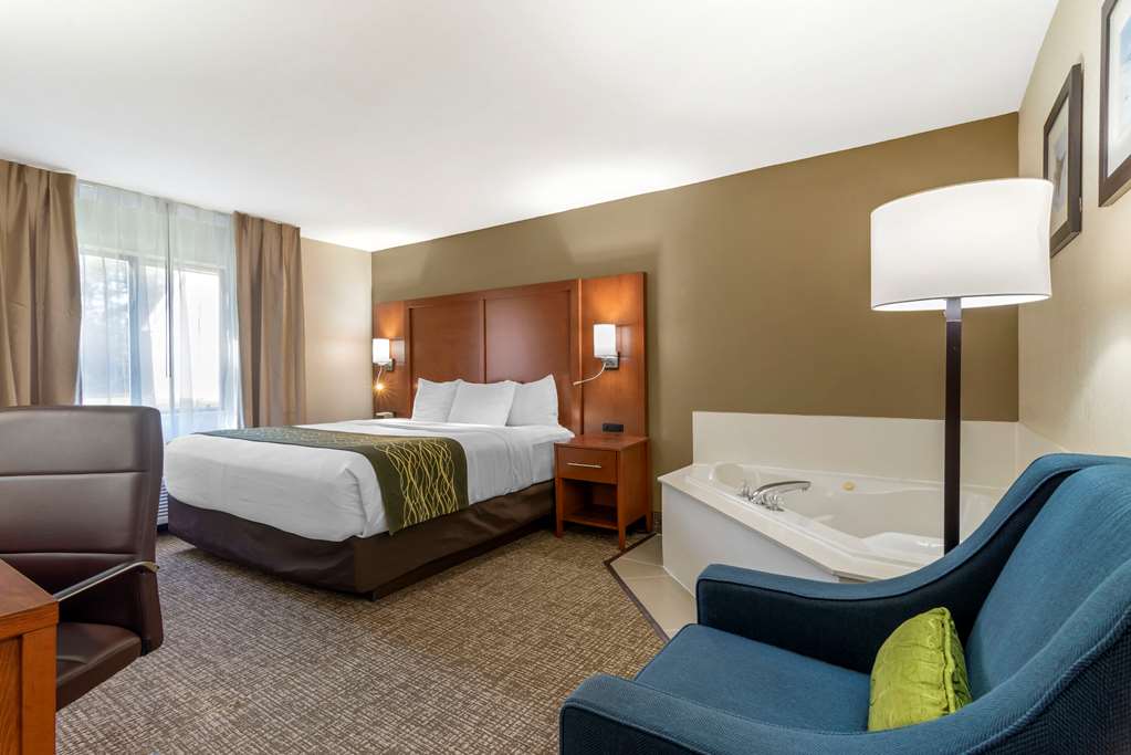 COMFORT INN AND SUITES - NEAR ROBIN-guestroom-Guest Room,On-Site.jpg
