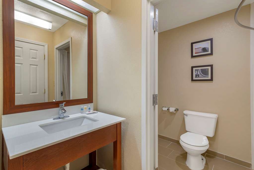 COMFORT INN AND SUITES - NEAR ROBIN-guestroom-Guest Room,Bathroom,On-Site.jpg