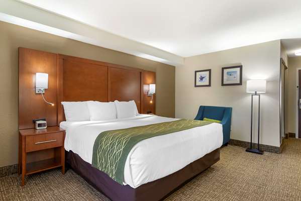  - Comfort Inn & Suites Warner Robins