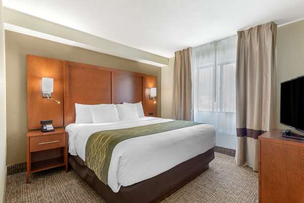 Suite - Comfort Inn & Suites Warner Robins