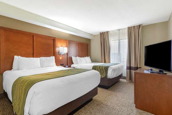 Suite - Comfort Inn & Suites Warner Robins