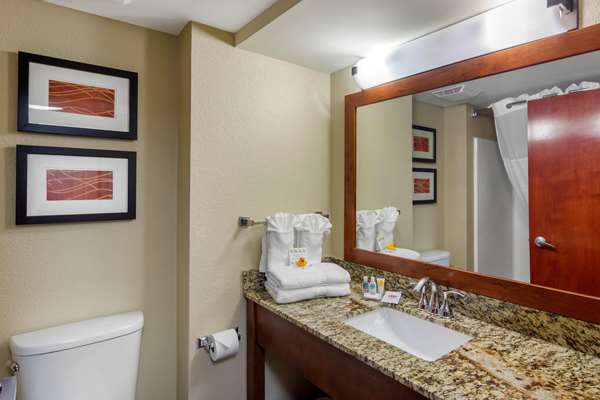  - Comfort Inn LaGrange - I-85, Exit 18