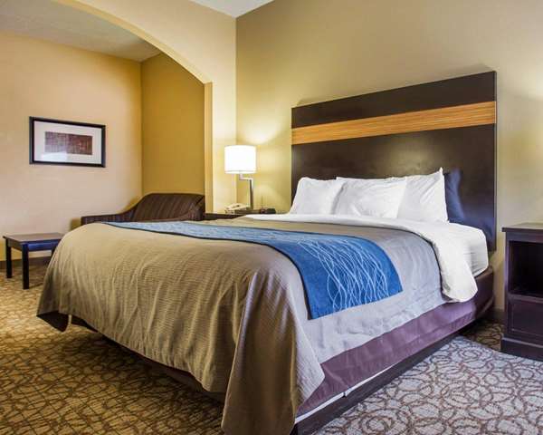 Suite - Comfort Inn & Suites at Stone Mountain