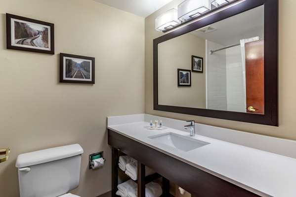  - Comfort Suites Warner Robins