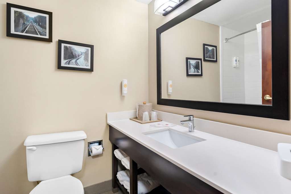 COMFORT SUITES WARNER ROBBINS-guestroom-Guest Room,Bathroom,On-Site.jpg
