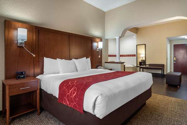 Suite - Comfort Suites Woodstock - I-575, Exit 7