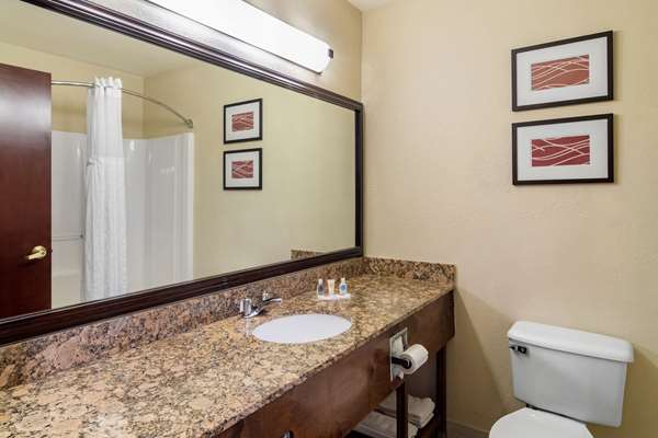  - Comfort Inn & Suites Suwanee - I-85, Exit 111
