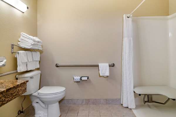  - Comfort Inn & Suites Suwanee - I-85, Exit 111