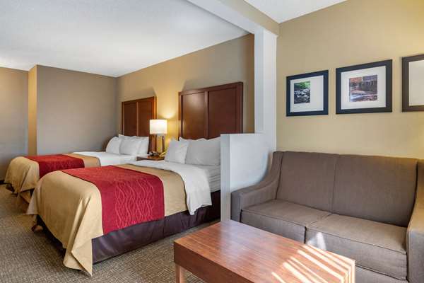 Suite - Comfort Inn & Suites Suwanee - I-85, Exit 111