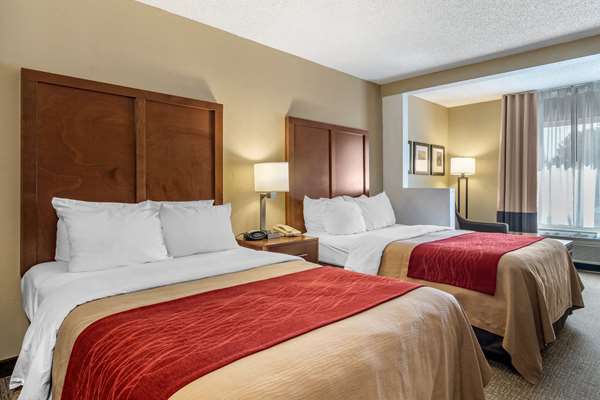 Suite - Comfort Inn & Suites Suwanee - I-85, Exit 111