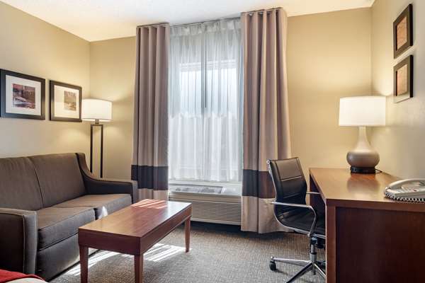 Suite - Comfort Inn & Suites Suwanee - I-85, Exit 111
