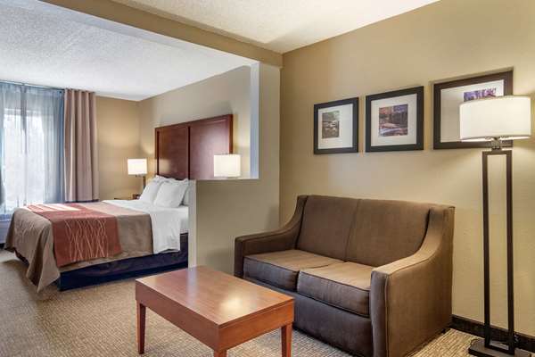 Suite - Comfort Inn & Suites Suwanee - I-85, Exit 111