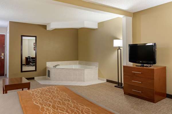 Suite - Comfort Inn & Suites Suwanee - I-85, Exit 111