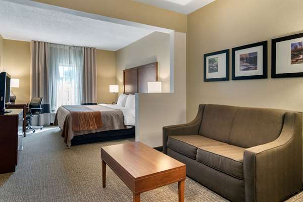 Suite - Comfort Inn & Suites Suwanee - I-85, Exit 111