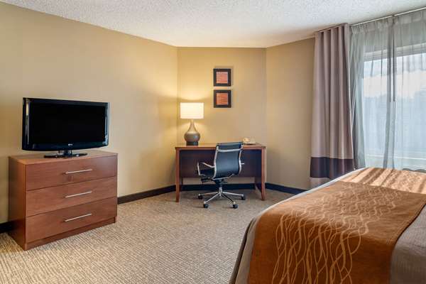 Suite - Comfort Inn & Suites Suwanee - I-85, Exit 111