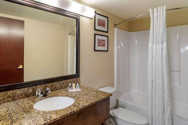  - Comfort Inn & Suites Suwanee - I-85, Exit 111