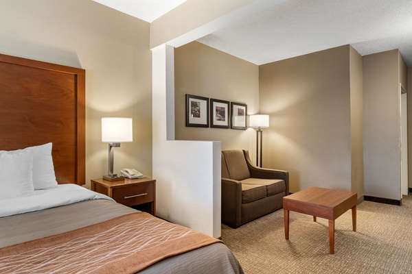 Suite - Comfort Inn & Suites Suwanee - I-85, Exit 111