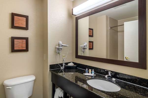 Suite - Comfort Inn & Suites Smyrna - I-285, Exit 15
