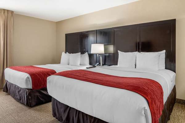 Suite - Comfort Inn & Suites Smyrna - I-285, Exit 15