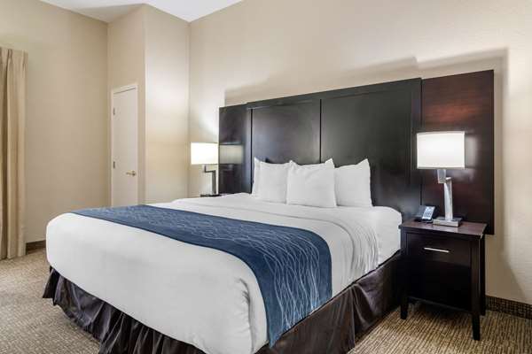  - Comfort Inn & Suites Smyrna - I-285, Exit 15