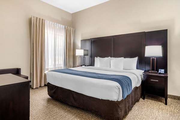 Suite - Comfort Inn & Suites Smyrna - I-285, Exit 15