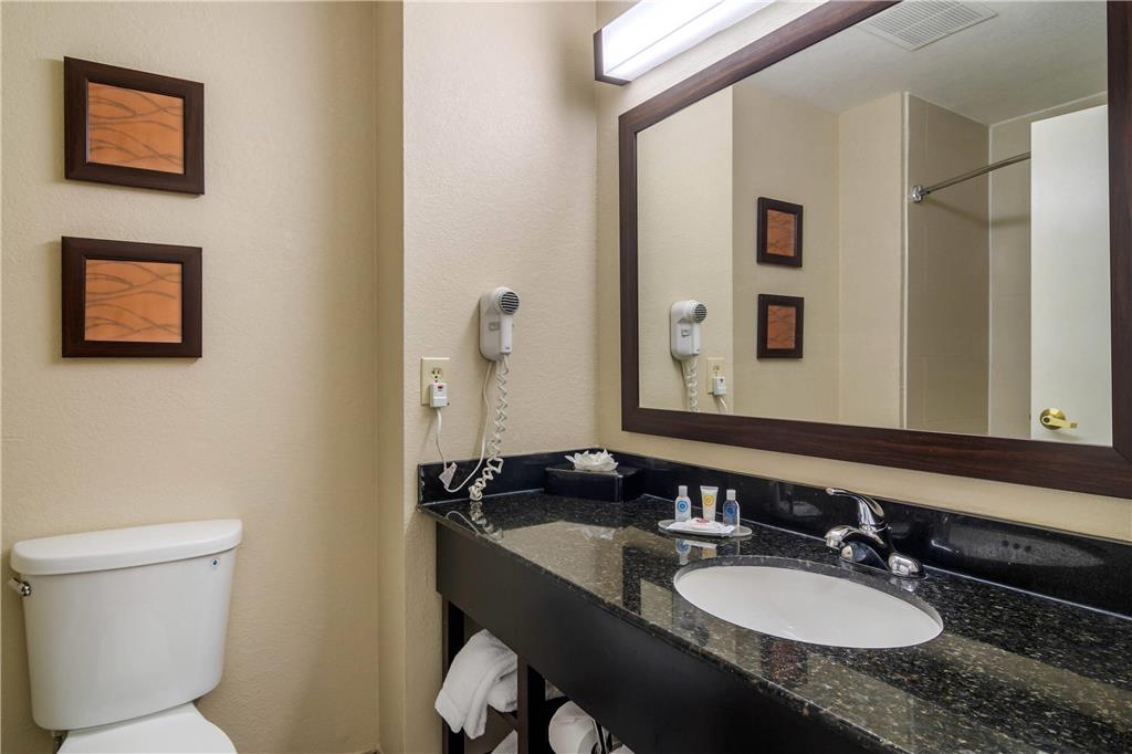 COMFORT INN AND SUITES SMYRNA-guestroom-Guest Room,Bathroom,On-Site.jpg