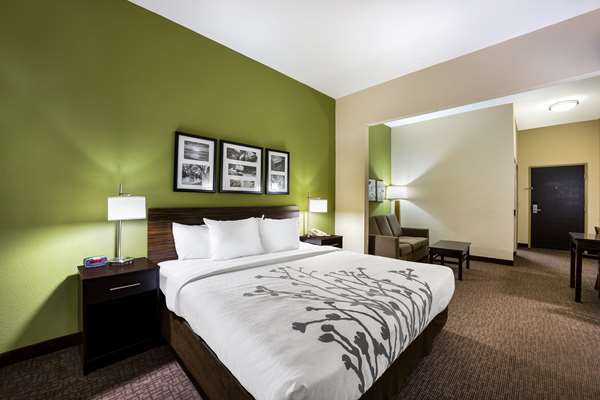 Suite - Sleep Inn & Suites Valdosta - I-75, Exit 18