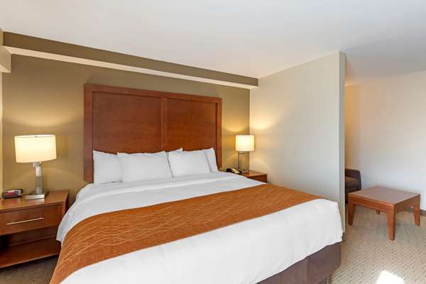 Suite - Comfort Inn Kennesaw - I-75, Exit 269