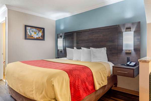 Suite - Econo Lodge Watson Blvd Byron - I-75, Exit 146