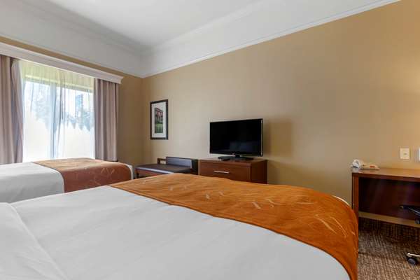Suite - Comfort Suites Port Wentworth - I-95, Exit 109