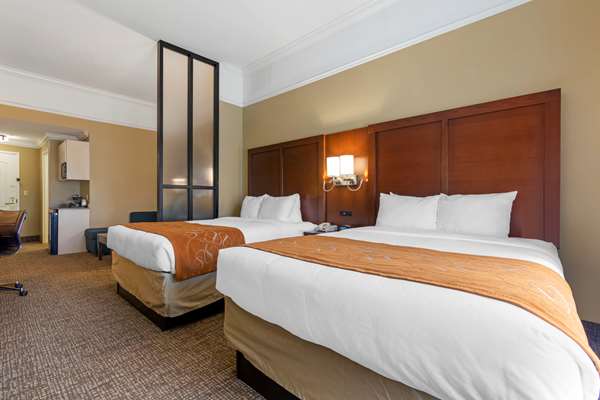 Suite - Comfort Suites Port Wentworth - I-95, Exit 109